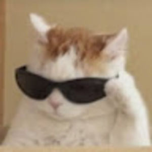 Meet your Posher, A.